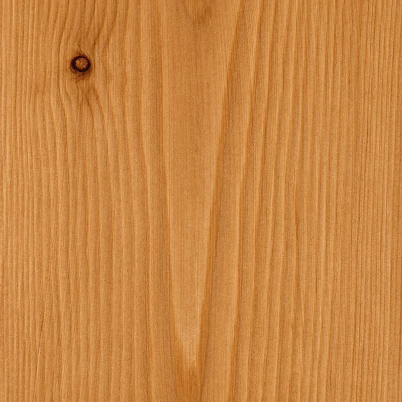 Larch