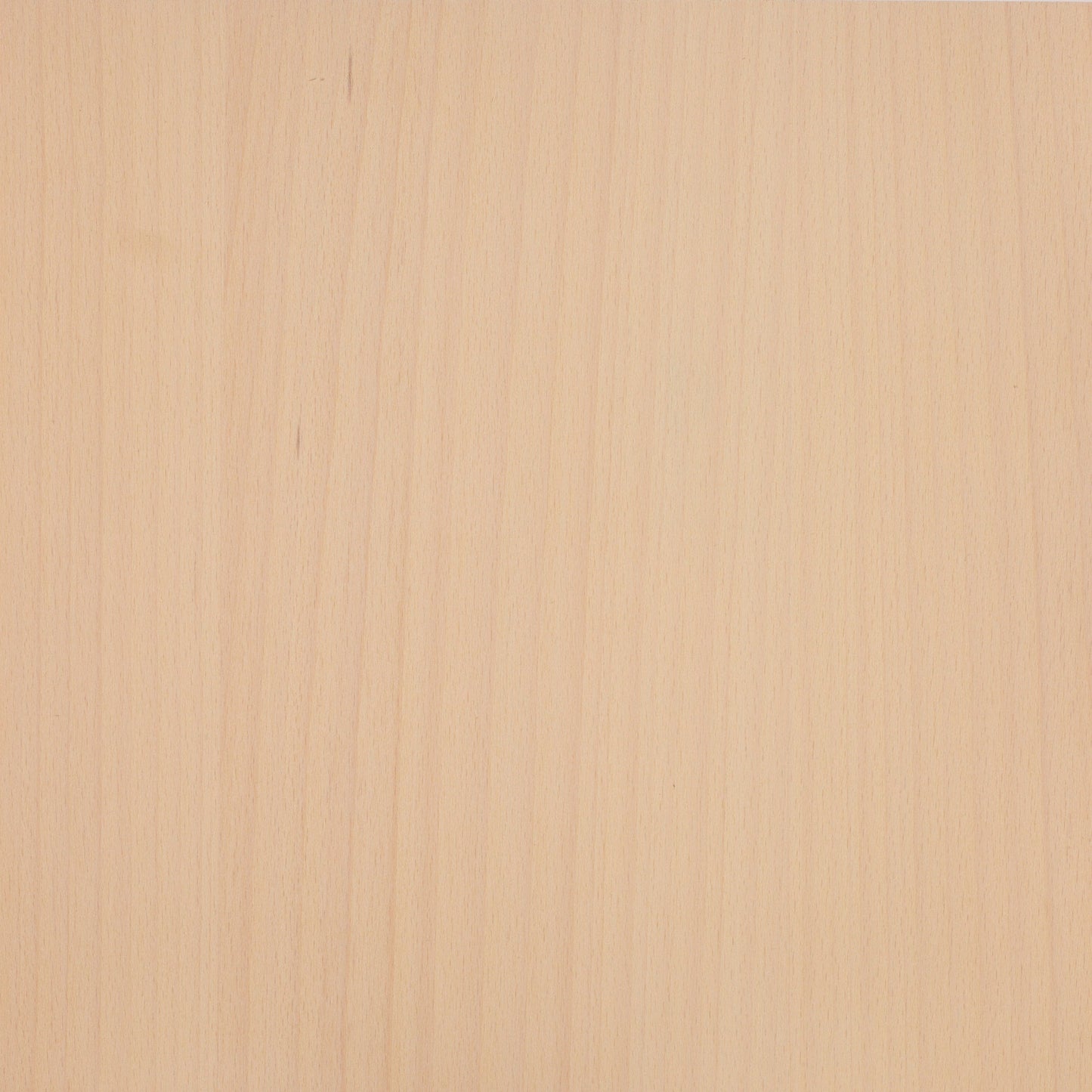 Beech