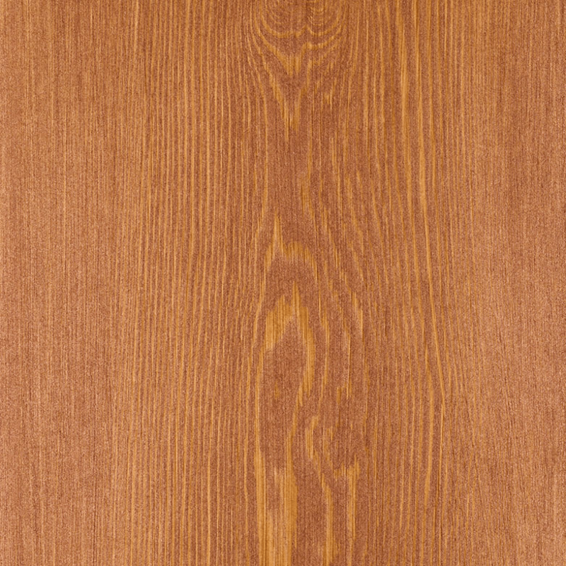 Larch