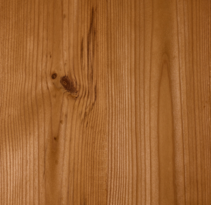 Behandlung und Veredelung von Thermokiefernholz Behandlung und Veredelung von Thermokiefernholz