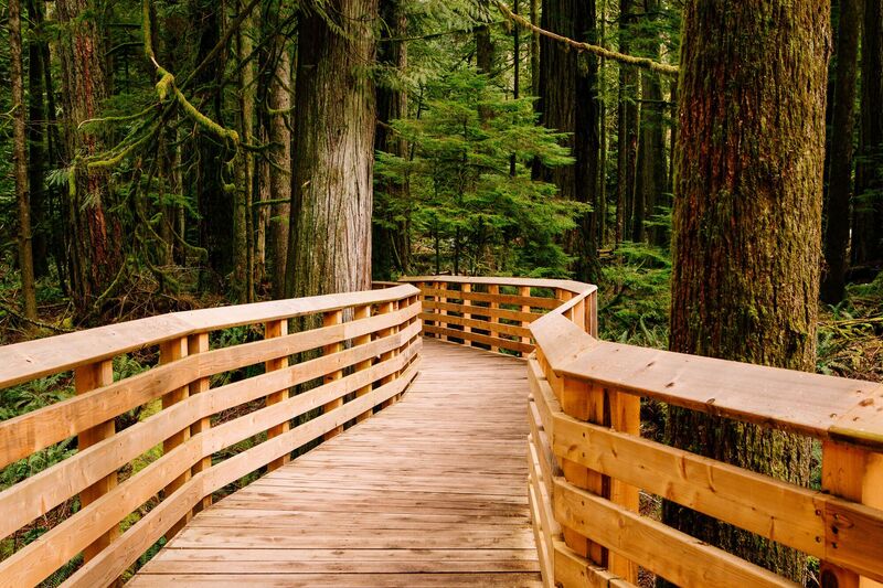 bestes holz für draußen